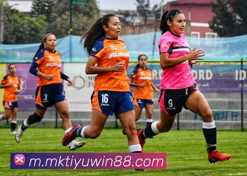 MK体育APP 封面图